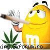 sLk The best - de mine nu vb nici unul :((:((:((:((( :)))))))):P - burn.gm SyNc